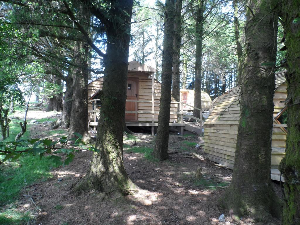 Wheal Tor Hotel & Glamping 利斯卡德 外观 照片